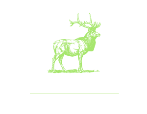 Aggstein & Partner - Wirtschaft weitergedacht LOGO