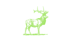 Aggstein & Partner